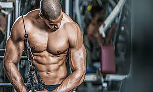 Fab5 Direct Peptide Pens